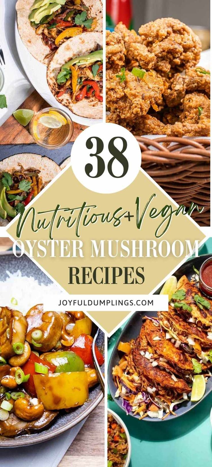 the ultimate collection of vegan oyster mushroom recipes