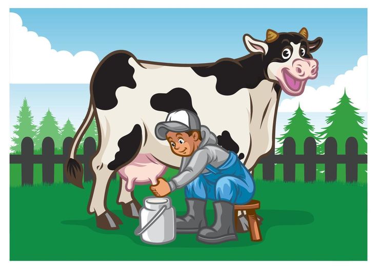 a man is milking a cow in the field