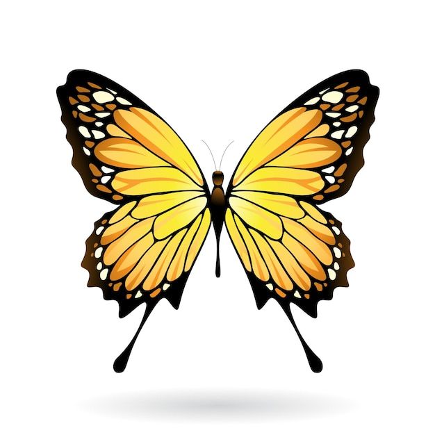 a yellow butterfly with open wings