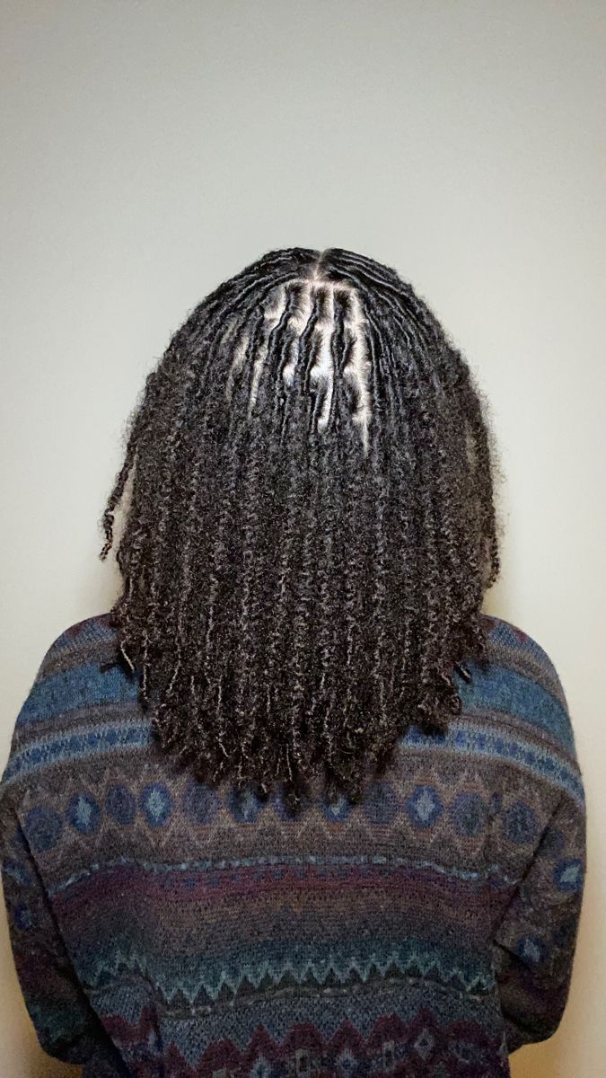 Two Strand Twist Starter Locs Before And After, Two Strand Twist Starter Locs With Extensions, Locs Started With Two Strand Twist, Two Strand Twist Dreads Black Women, Locs Started With Braids, Micro Two Strand Twist Starter Locs, Starting Locs Two Strand Twists, Coil Locs Vs Two Strand Twist Locs, 2 Strand Starter Locs Black Women