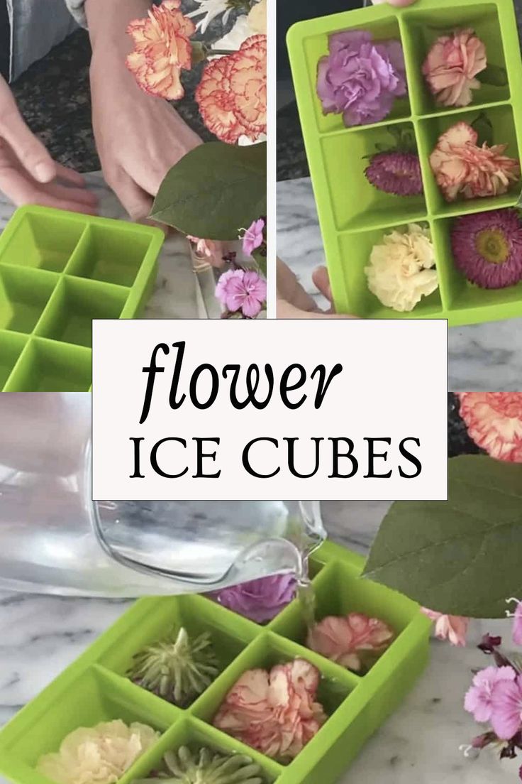 How to Make Flower Ice Cubes Fruit Ice Cubes How To Make, Iced Flowers, Iced Tea Party Ideas, Ice Cube Flowers How To Make, Roses In Ice Cubes, I’ve Cubes With Flowers, How To Make Rose Ice Cubes, Decorative Ice Cubes, How To Freeze Flowers In Ice Cubes