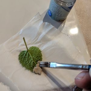 someone is painting a green leaf on a piece of white paper with water bottle in the background