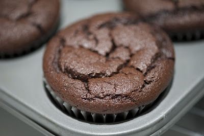 chocolate cupcakes sitting in a muffin tin