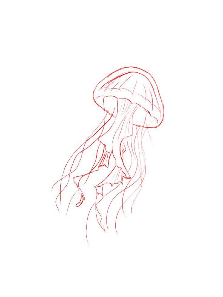 a drawing of a jellyfish in red ink on a white paper with the words,'how to draw jellyfish '