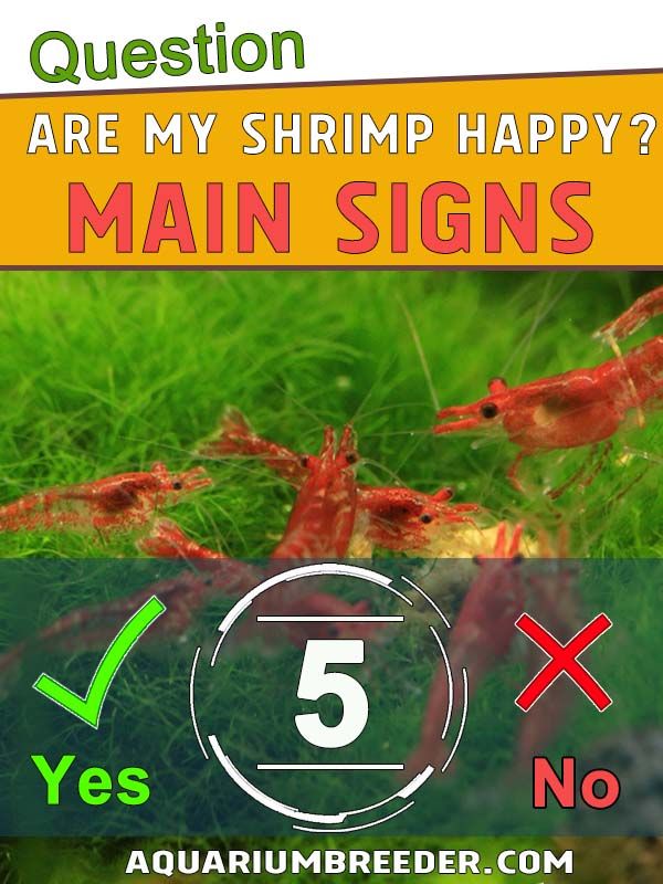 there are five shrimp in the water and one on the ground with words that say, question