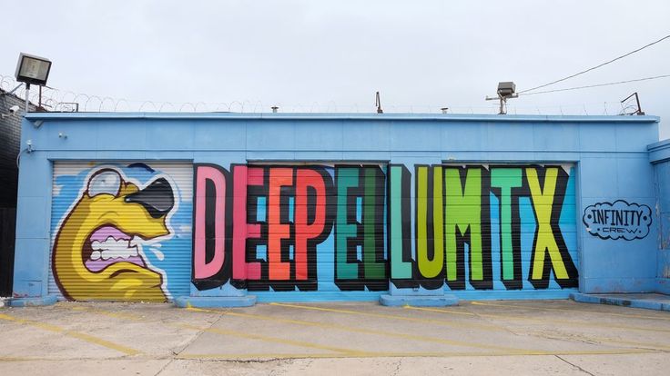 there is a large mural on the side of a building that says deepfluntx