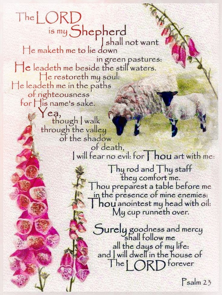 the lord is my shepherd with flowers