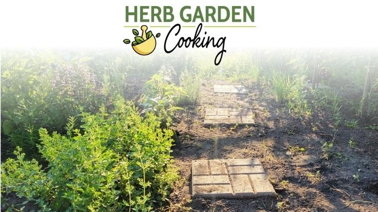 Herb Garden Cooking