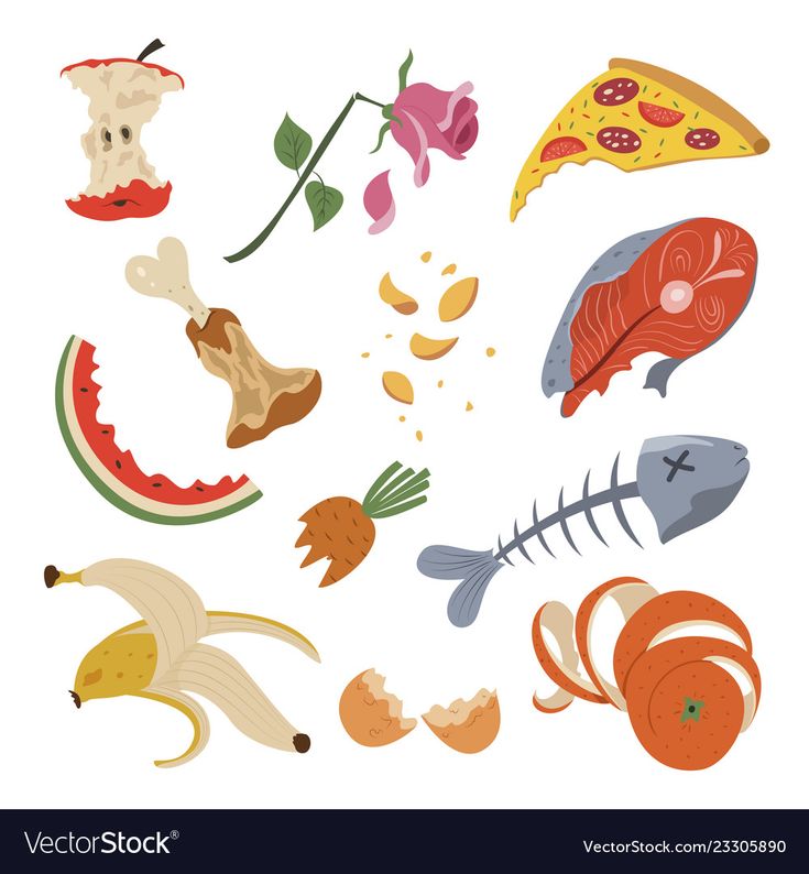 an assortment of different food items including fish, pizza and other foods on a white background