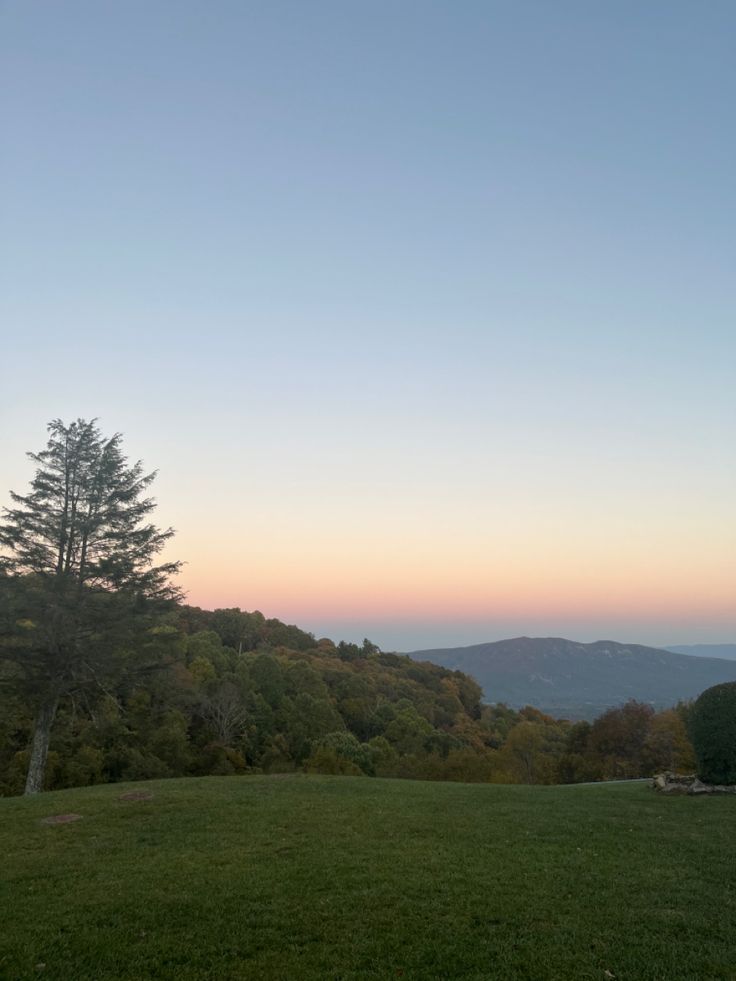 a grassy field with trees and mountains in the background