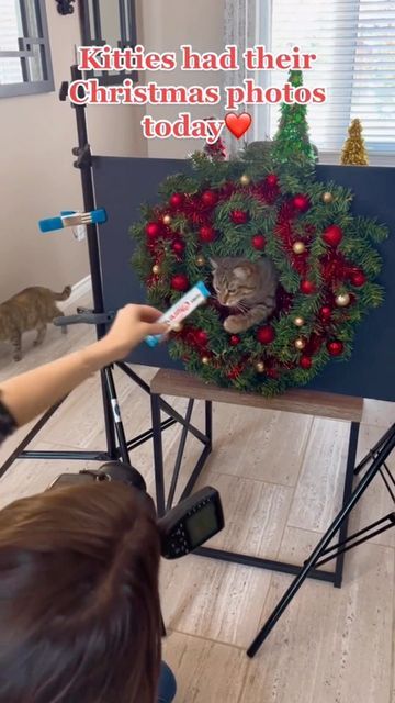 a boy is painting a christmas wreath on a canvas with his cat in the background