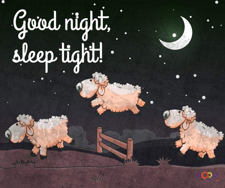 three sheep jumping over a fence with the words good night, sleep tight on it