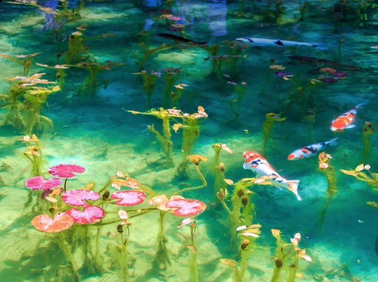 several fish swimming in the water near plants and flowers