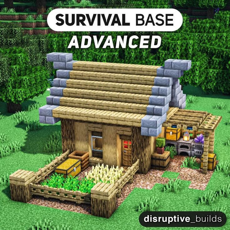 an image of a small wooden house in the middle of some grass and bushes with text survival base level 3