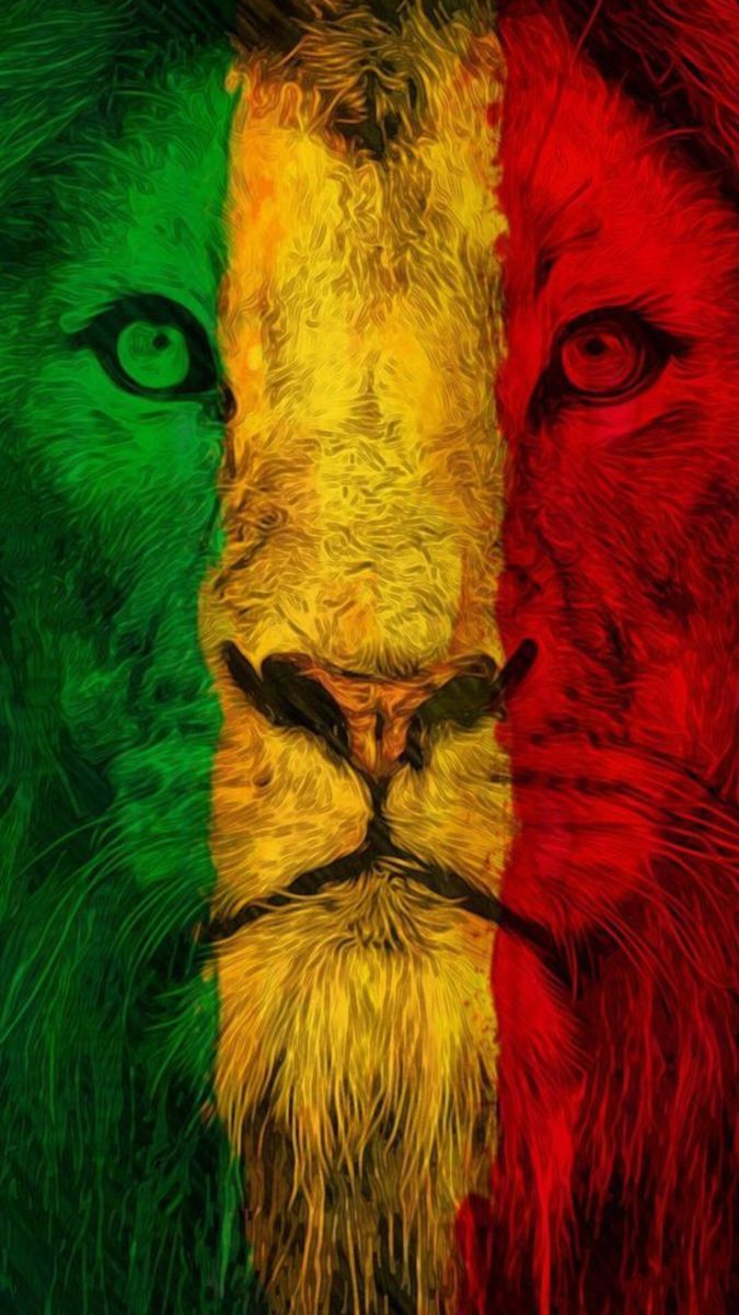 a lion's face painted in the colors of the flag of ireland and italy