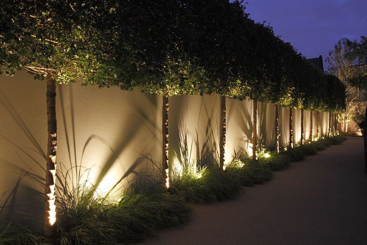 a row of trees next to a white wall with lights on it and grass in the foreground