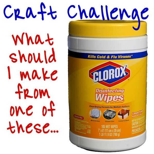 a can of clorox disinfecting wipes with the caption what should i make from one of these?