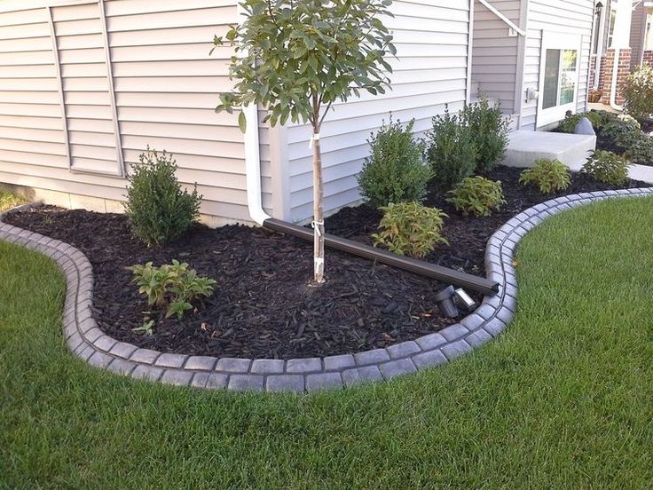 a small tree is in the middle of a flower bed with mulch around it