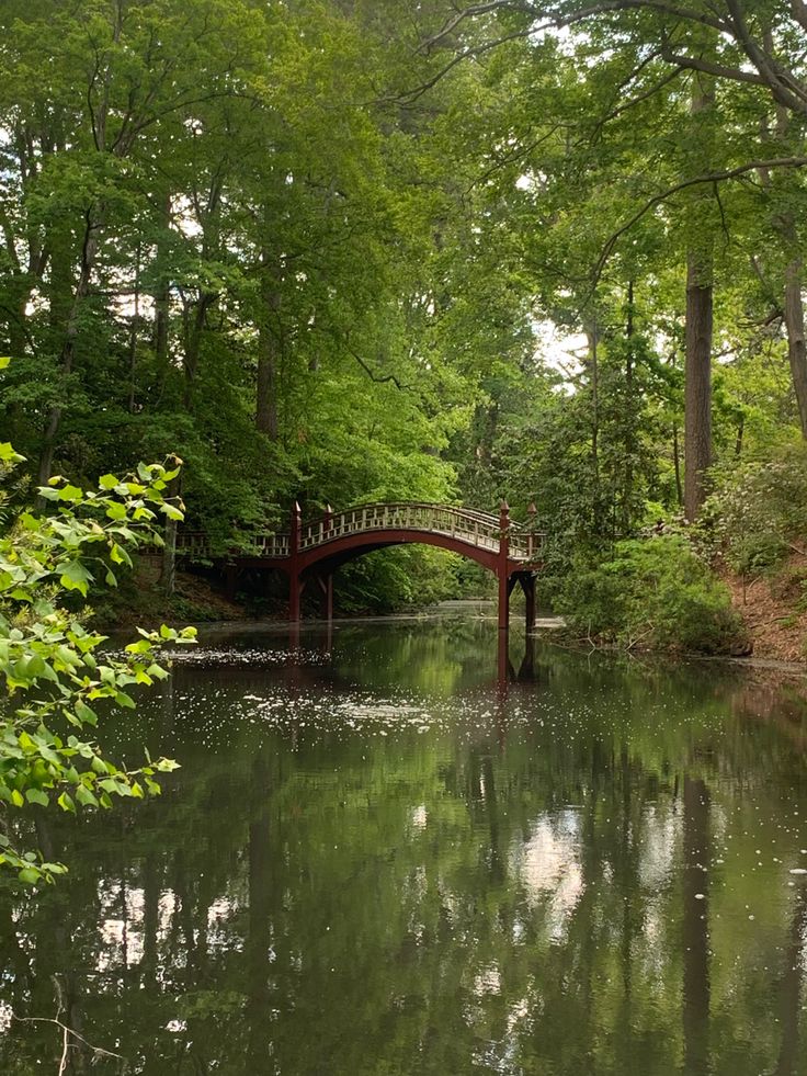 a bridge over a river surrounded by trees