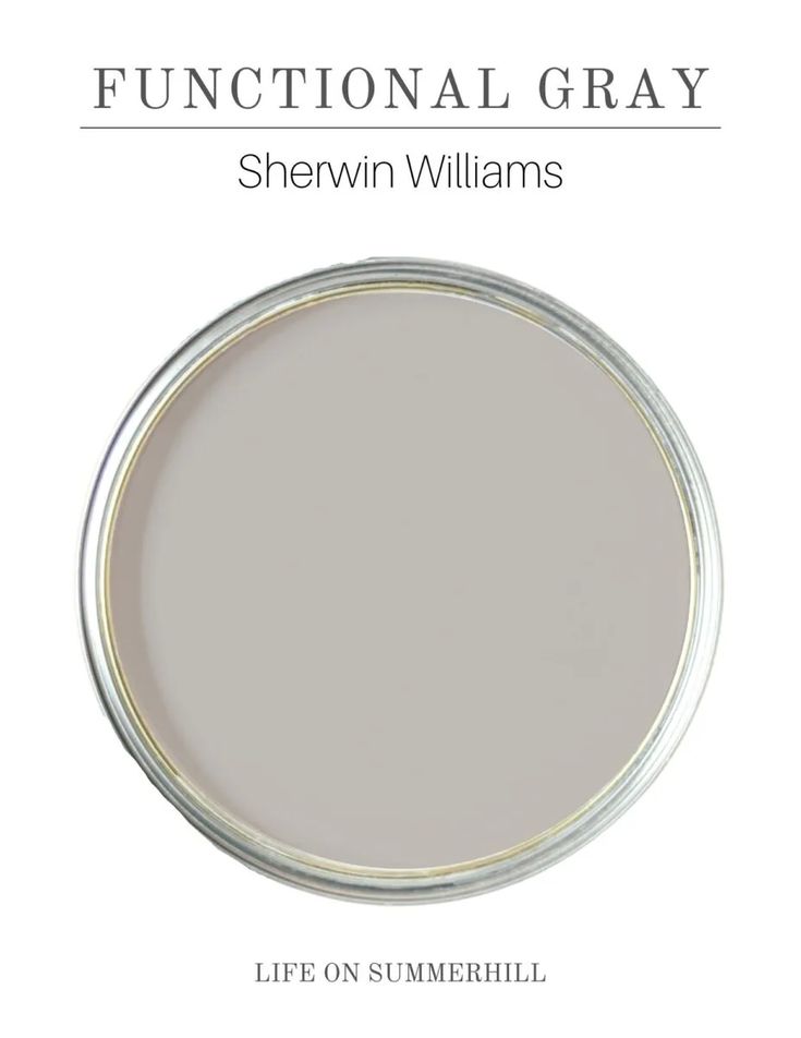 the book cover for functional gray by sheryln williams, with an image of a round