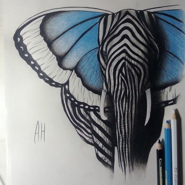 a drawing of a zebra with a butterfly on it's back