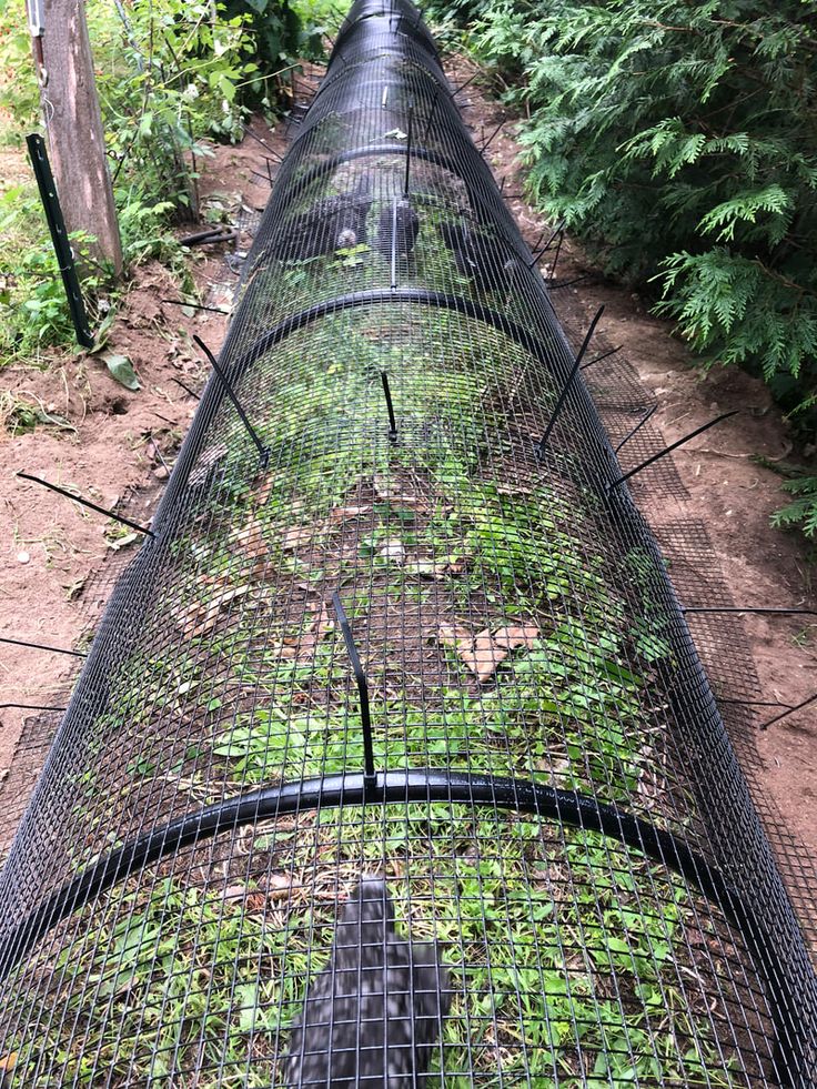 a large metal fence with plants growing on it's sides in the middle of a forest