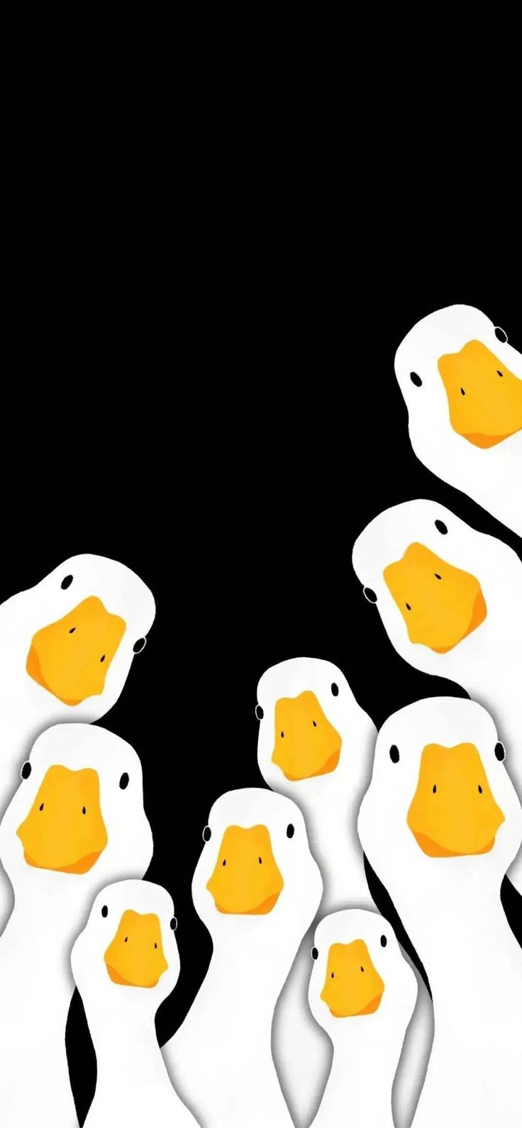 several ducks are standing in the middle of an image with their heads turned to look like they're looking at something