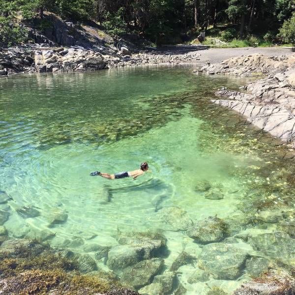 a man swimming in the clear water near some rocks and trees, with his arms outstretched out