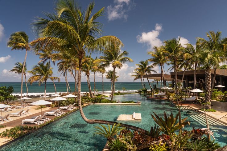 an outdoor swimming pool surrounded by palm trees