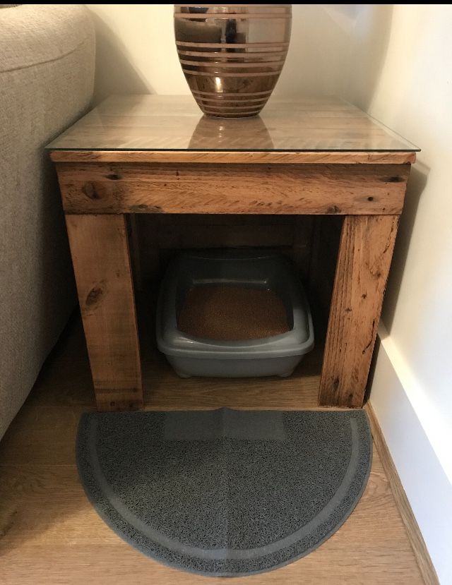 a cat litter box in the corner of a room with a dog bed underneath it