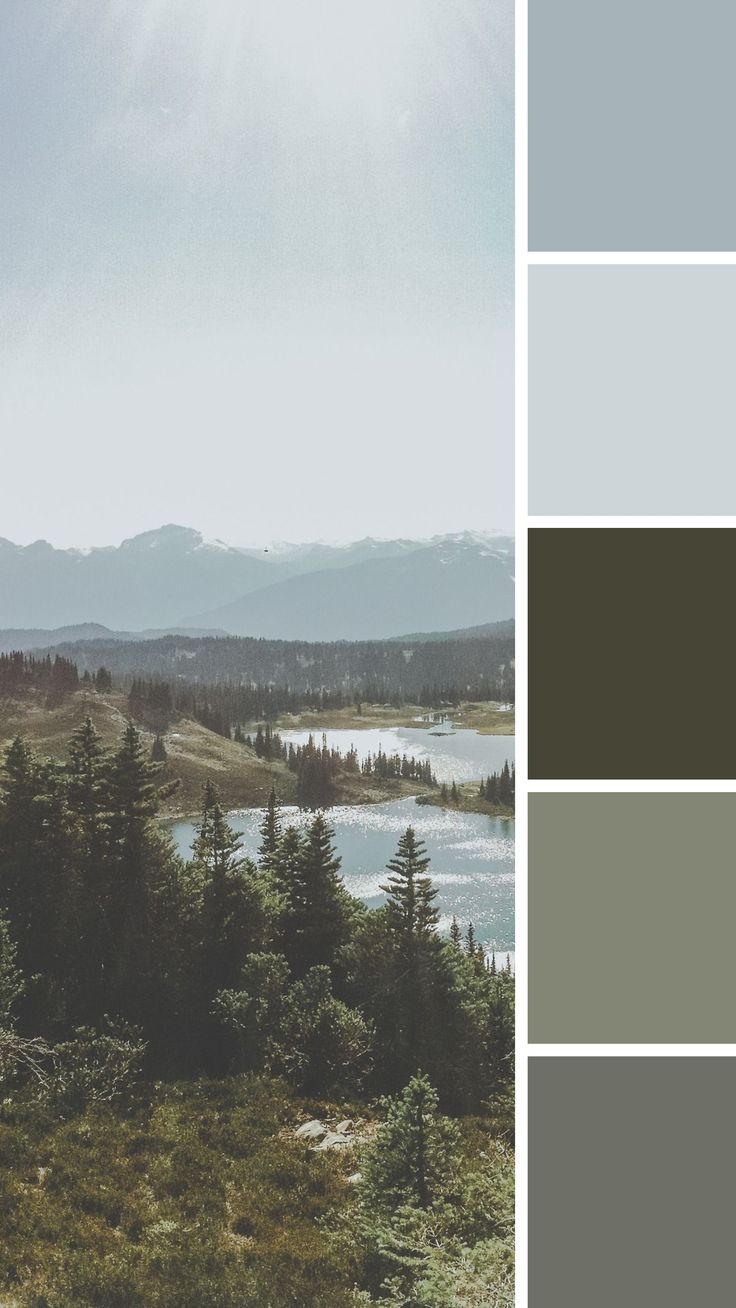 the color scheme is gray, green, and grey with some trees in front of it