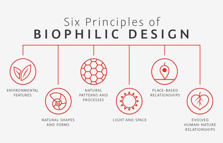 the six principals of biophilic design, including plants and other things to see