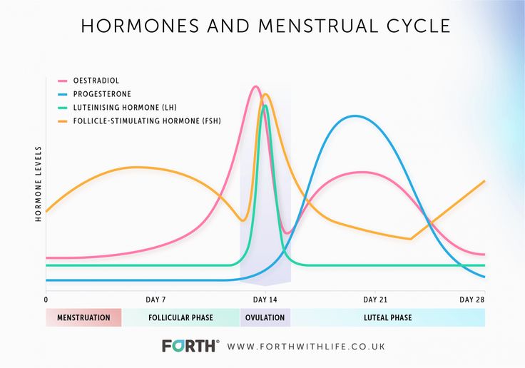 Female Energy Cycle, Low Thyroid Remedies, Follicle Stimulating Hormone, Low Thyroid, Cycle Syncing, Progesterone Levels, Low Estrogen, Body Wellness, Female Fertility