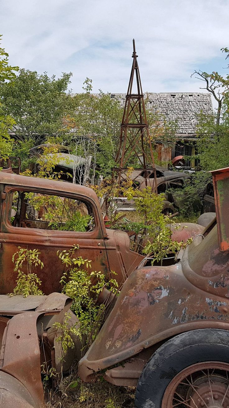 an old rusted out car and truck in a junkyard with trees around it