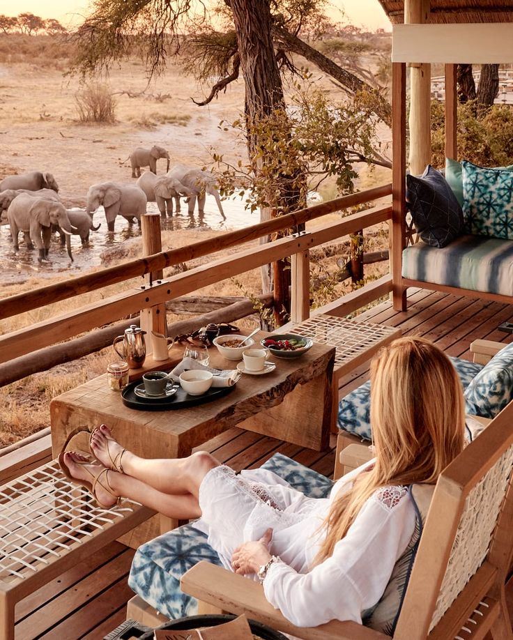 two women are sitting on the porch with elephants in the background, eating and drinking