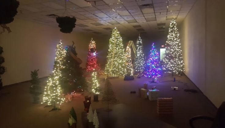 a room filled with lots of christmas trees covered in lights