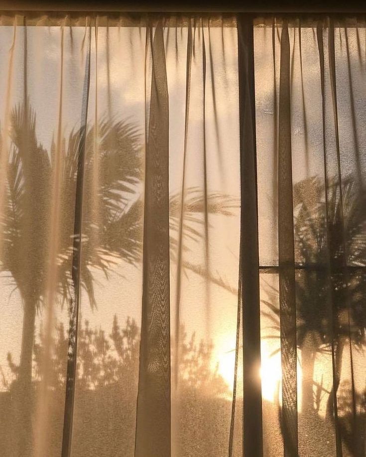 the sun is shining through curtains in front of palm trees