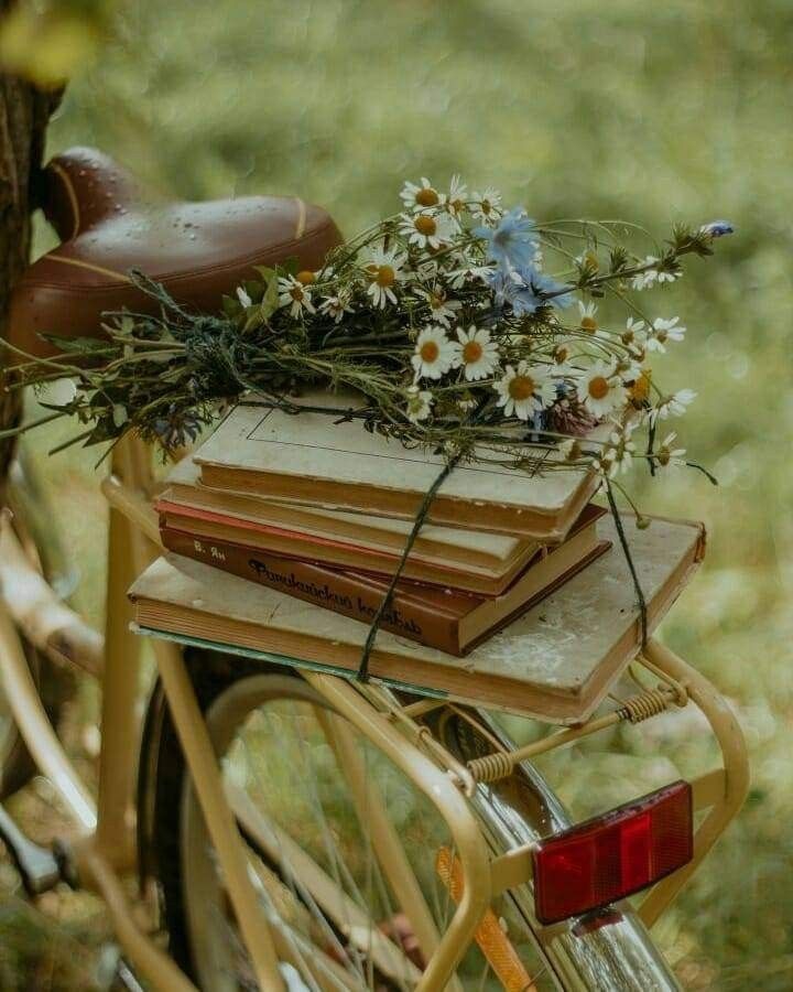 a bicycle with flowers and books on the back