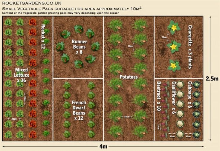 a garden plot showing the size and location of each vegetable planter's area