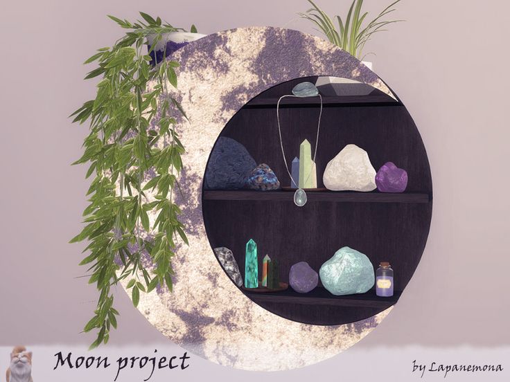 there is a shelf with rocks and plants on it in front of a moon - shaped wall