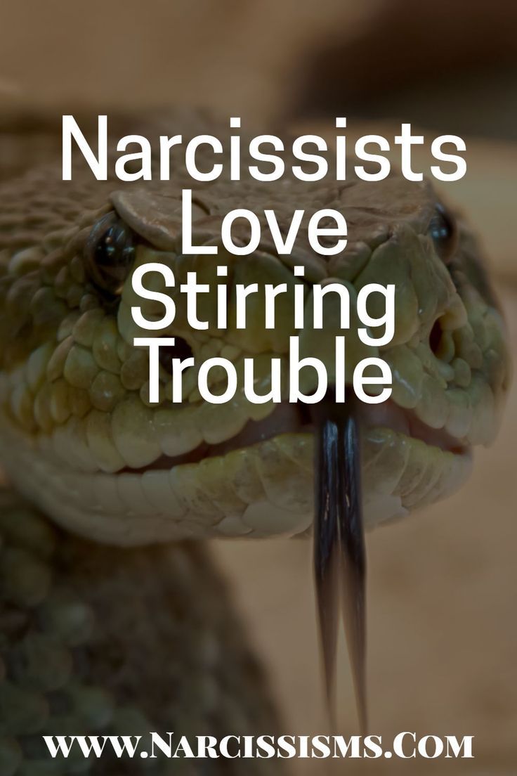 Causes Of Narcissism, Narcissistic Sister, Done Trying Quotes, What Is Narcissism, Types Of Narcissists, Manipulative People, Narcissism Relationships, Narcissistic People, Blaming Others