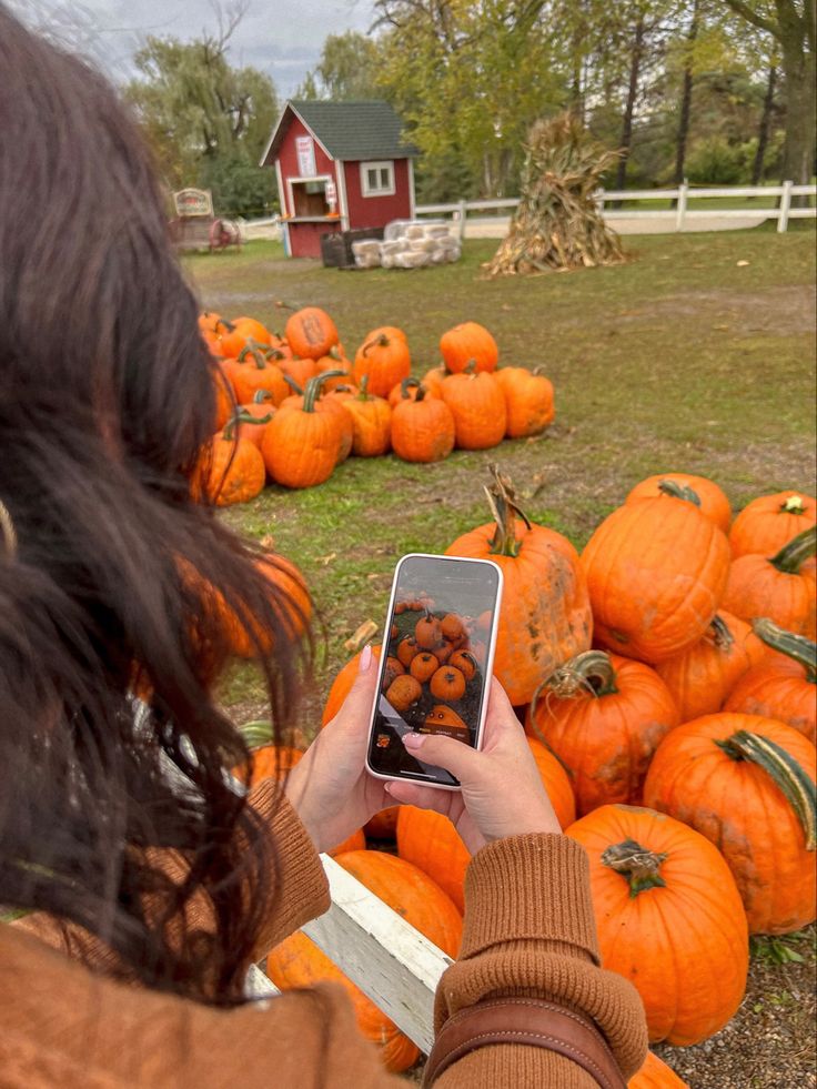 a woman taking a photo of pumpkins with her cell phone in front of them