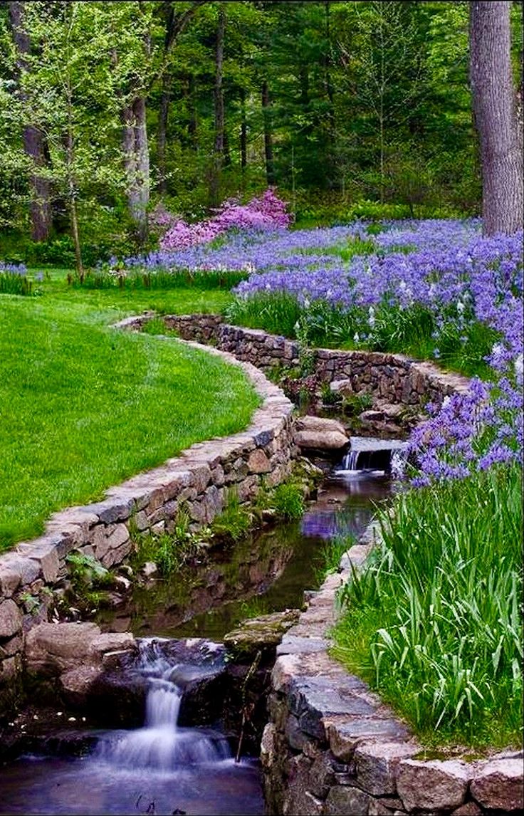 a stream running through a lush green forest filled with bluebells and wildflowers