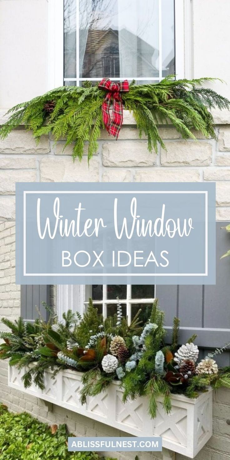 a window box filled with evergreens and pine cones