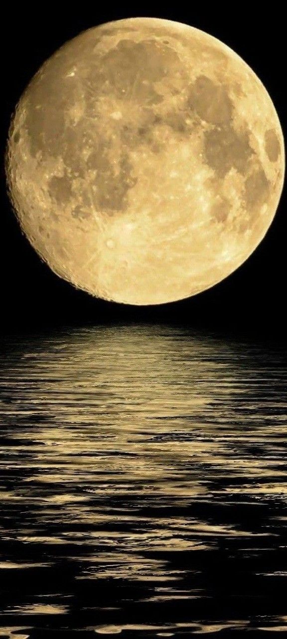 the full moon is reflected in the water