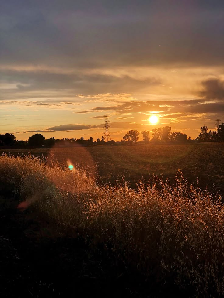 the sun is setting over a field with tall grass