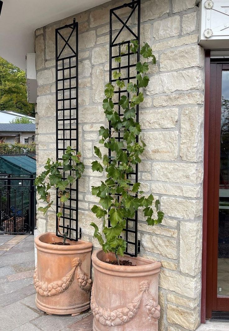 two large planters with green plants growing out of them on the side of a building