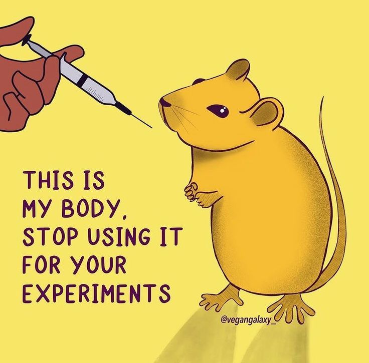 a hand holding a pen over a cartoon mouse with the caption, this is my body stop using it for your experiments