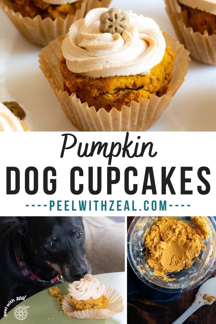 pumpkin dog cupcakes with cream cheese frosting