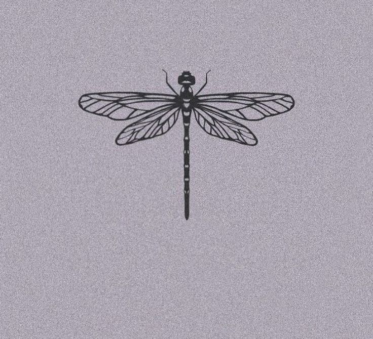 a black and white photo of a dragonfly on a gray background with the words, i